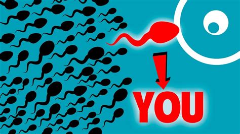 chances of you being born|Your Odds Of Being Alive .